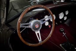 AC Cobra Replica Street Beasts full