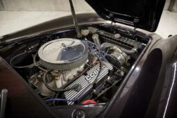 AC Cobra Replica Street Beasts full