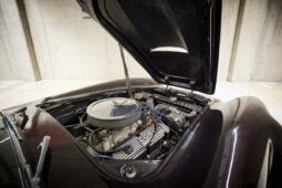 AC Cobra Replica Street Beasts full