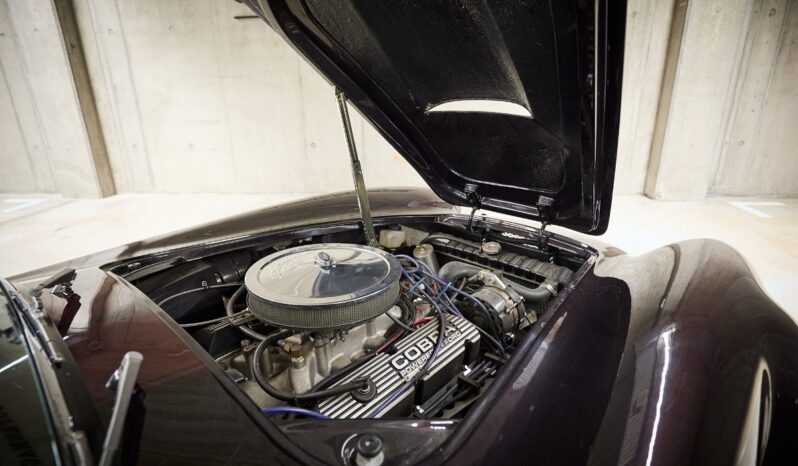 AC Cobra Replica Street Beasts full