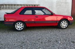 Peugeot 309 gti full