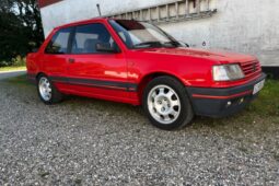 Peugeot 309 gti full