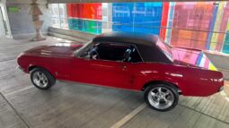 Ford Mustang HardTop Coupe 289cui V8 full