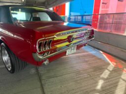 Ford Mustang HardTop Coupe 289cui V8 full