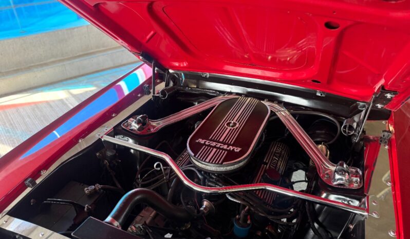 Ford Mustang HardTop Coupe 289cui V8 full