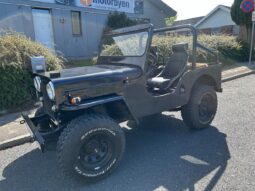 Jeep CJ-5 Willys CJ 3b full