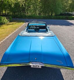 Buick Skylark Custom v8
