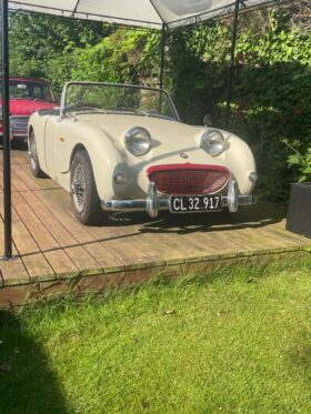 Austin-Healey Sprite MK1 frogeye
