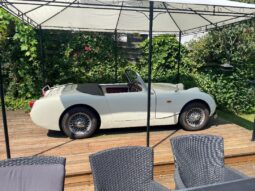 Austin-Healey Sprite MK1 frogeye full