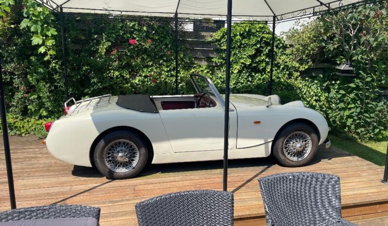 Austin-Healey Sprite MK1 frogeye full