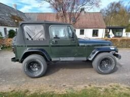 Jeep Wrangler YJ 4,2L full