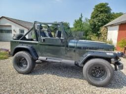 Jeep Wrangler YJ 4,2L full