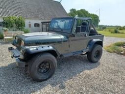 Jeep Wrangler YJ 4,2L full