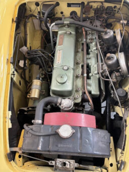 Austin-Healey 100/6 4 seater full