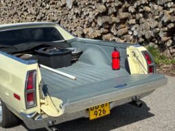 Ford Øvrige Ranchero Squire full