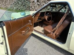 Ford Øvrige Ranchero Squire full