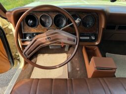 Ford Øvrige Ranchero Squire full