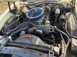 Ford Øvrige Ranchero Squire full