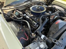 Ford Øvrige Ranchero Squire full