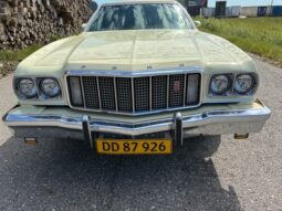 Ford Øvrige Ranchero Squire full