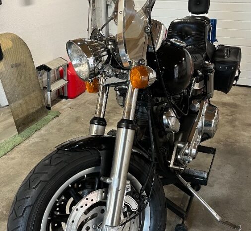 Harley Davidson 1200 FXE full