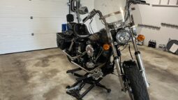 Harley Davidson 1200 FXE full