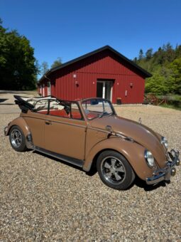 VW Bobbel cabriolet full
