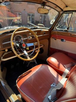 VW Bobbel cabriolet full