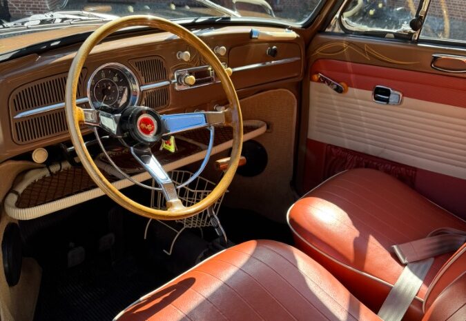 VW Bobbel cabriolet full