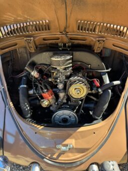 VW Bobbel cabriolet full