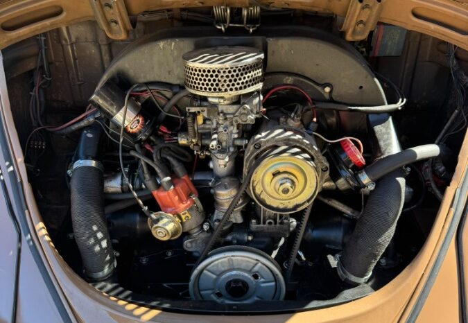 VW Bobbel cabriolet full