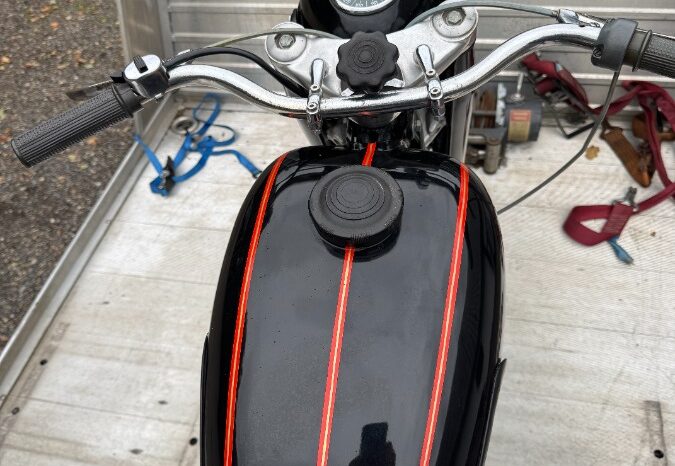 Ace Pannonia 250 full
