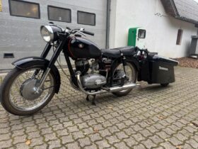 Ace Pannonia 250