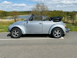 VW Bobbel 1303 full