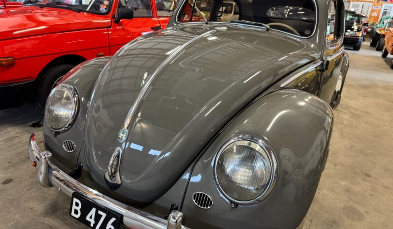 VW Bobbel Ovaler full