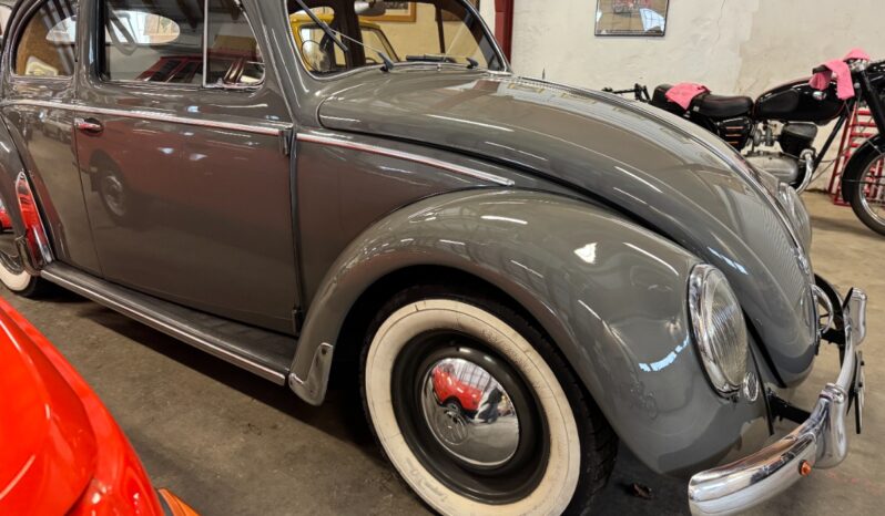 VW Bobbel Ovaler full