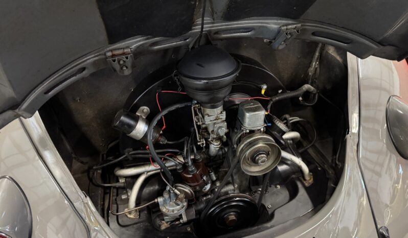 VW Bobbel Ovaler full