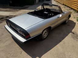 Alfa Romeo Spider Graduate full