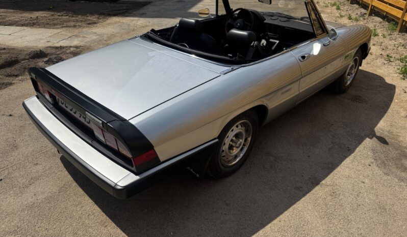 Alfa Romeo Spider Graduate full