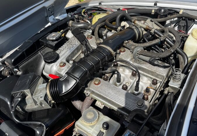 Alfa Romeo Spider Graduate full