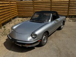 Alfa Romeo Spider Graduate full