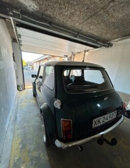 Mini Mini Mini 1.3 SPI full