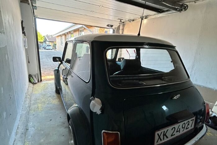 Mini Mini Mini 1.3 SPI full