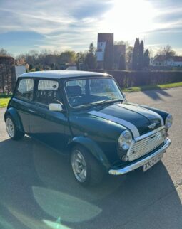 Mini Mini Mini 1.3 SPI full