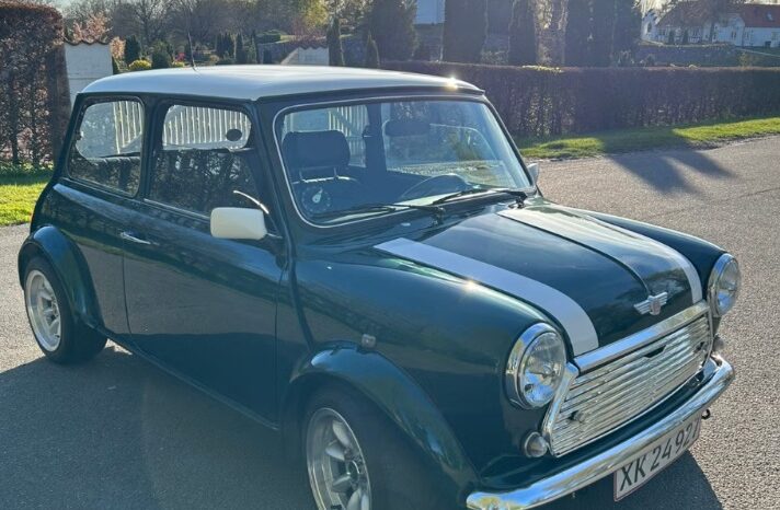 Mini Mini Mini 1.3 SPI full