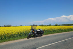 Moto Guzzi 850 T3 California full