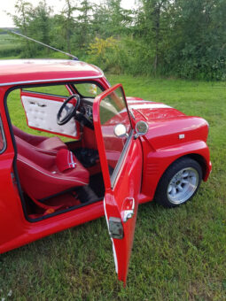 Mini Mini Special full