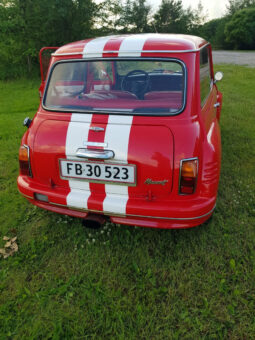 Mini Mini Special full
