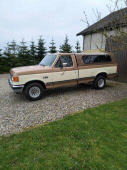 Ford F-150 Pick Up V8 Aut full