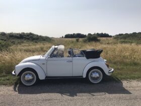 VW 1500 1303